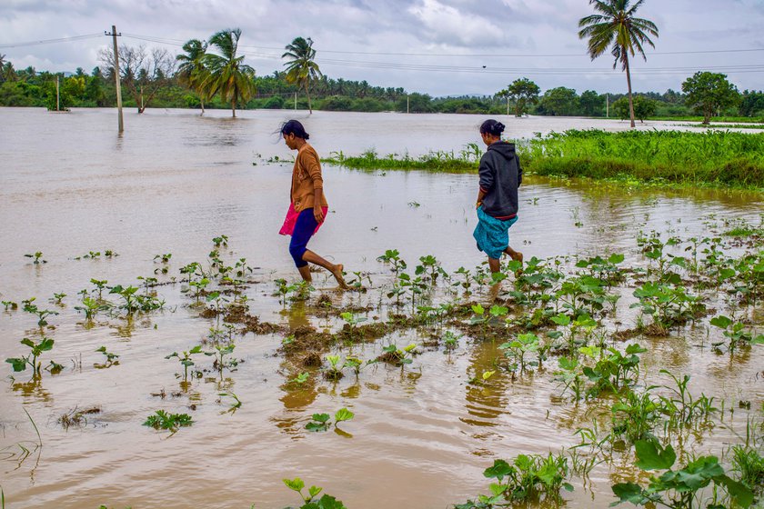 Left: Ratnavva at home in Konanatali. Right: Her daughter Suma walks through their land with her cousin, after rains had washed away Ratnavva's okra crop in July