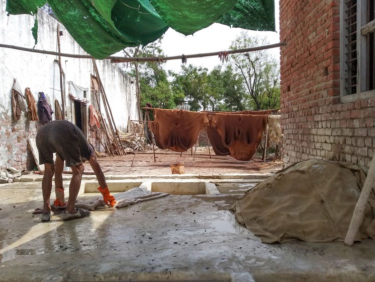 Right: Tarachand, a craftsperson, pulls out a soaked hide for fleshing