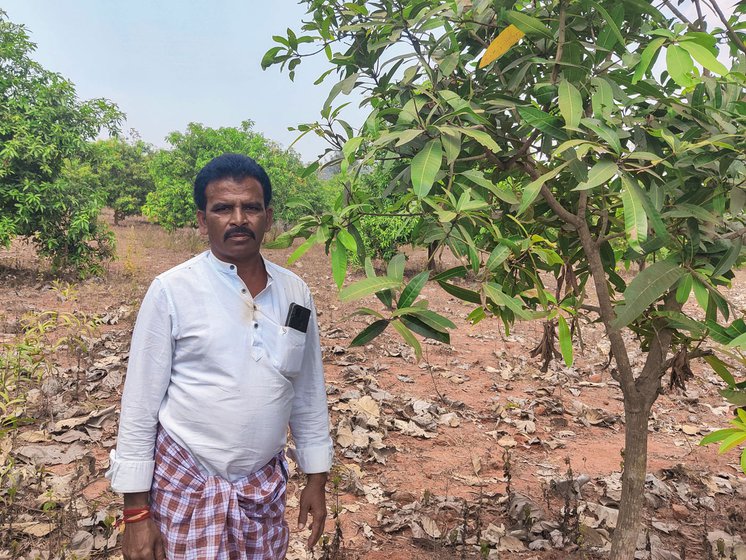 Raju's farm doesn't have a borewell either. He spends Rs. 20000 in a year for irrigation to care for his young trees