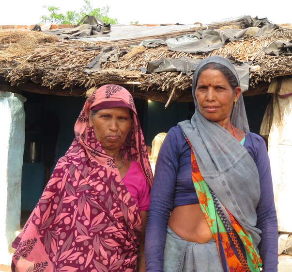 Gita Jatav (in the pink saree) and Harjaniya Jatav travel far to secure firewood for their homes