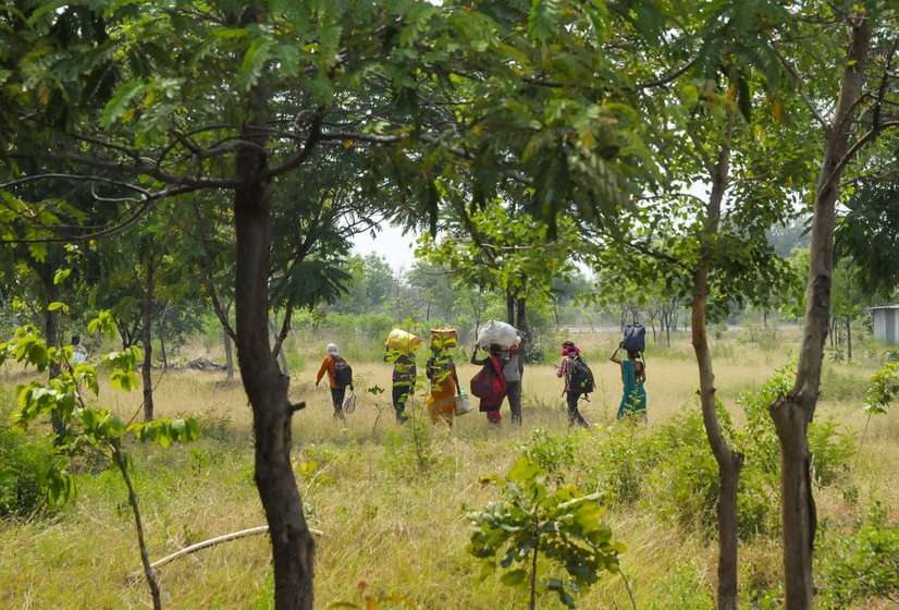 The migrants walked through fields, forest pathways and along railway tracks

