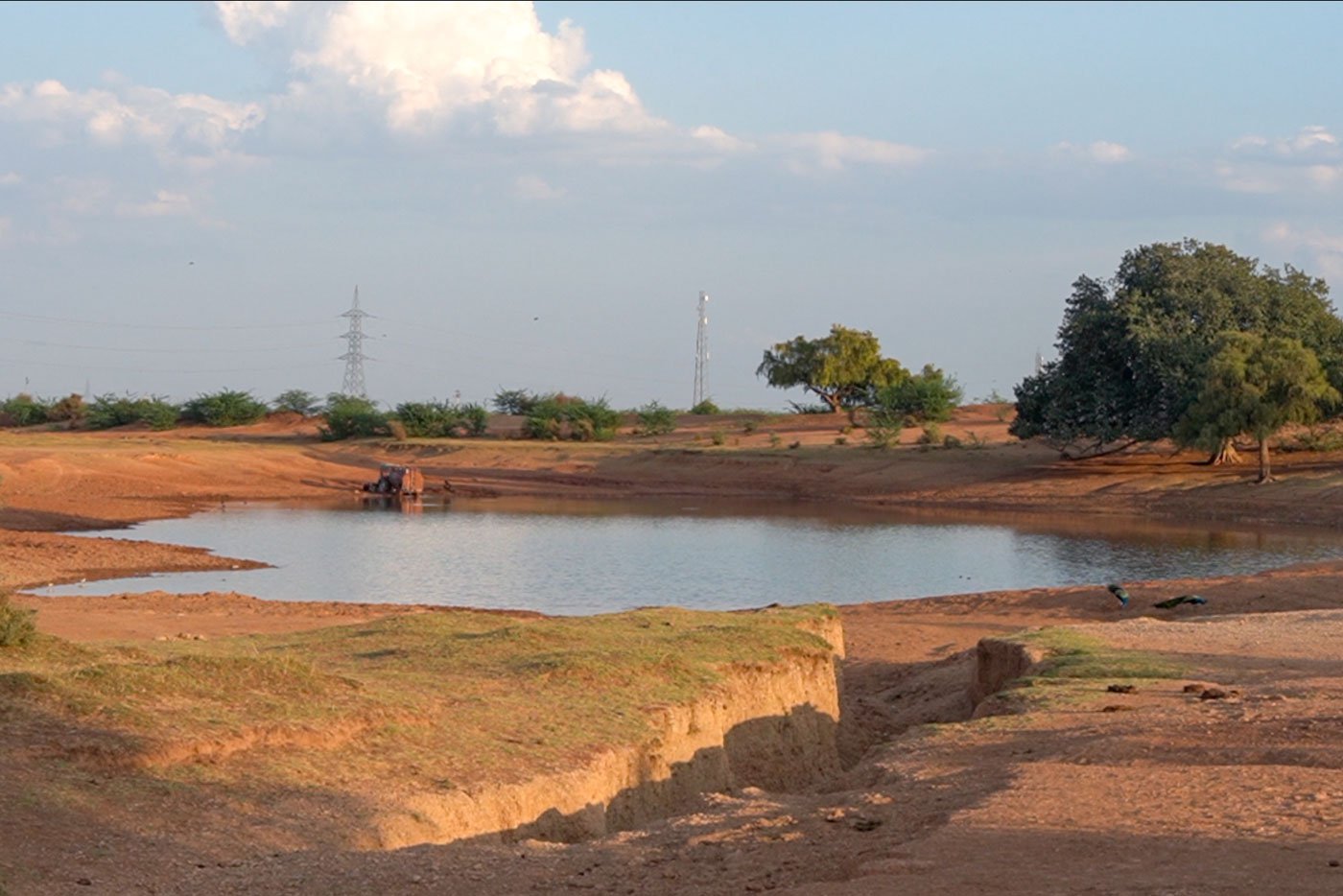 A water body in the Badariya oran supports animals and birds