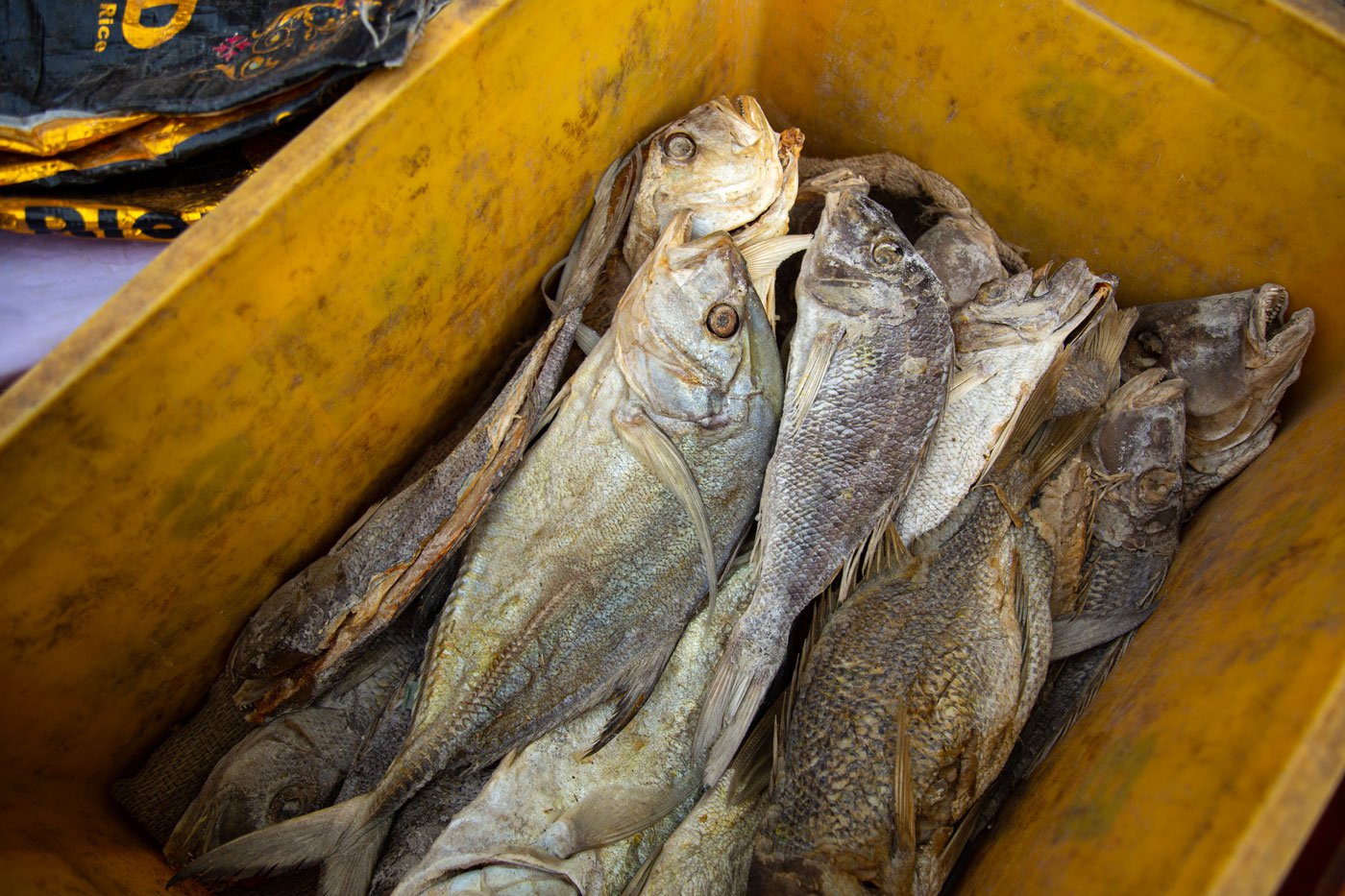 Karuvadu stored in containers in Fathima's shop