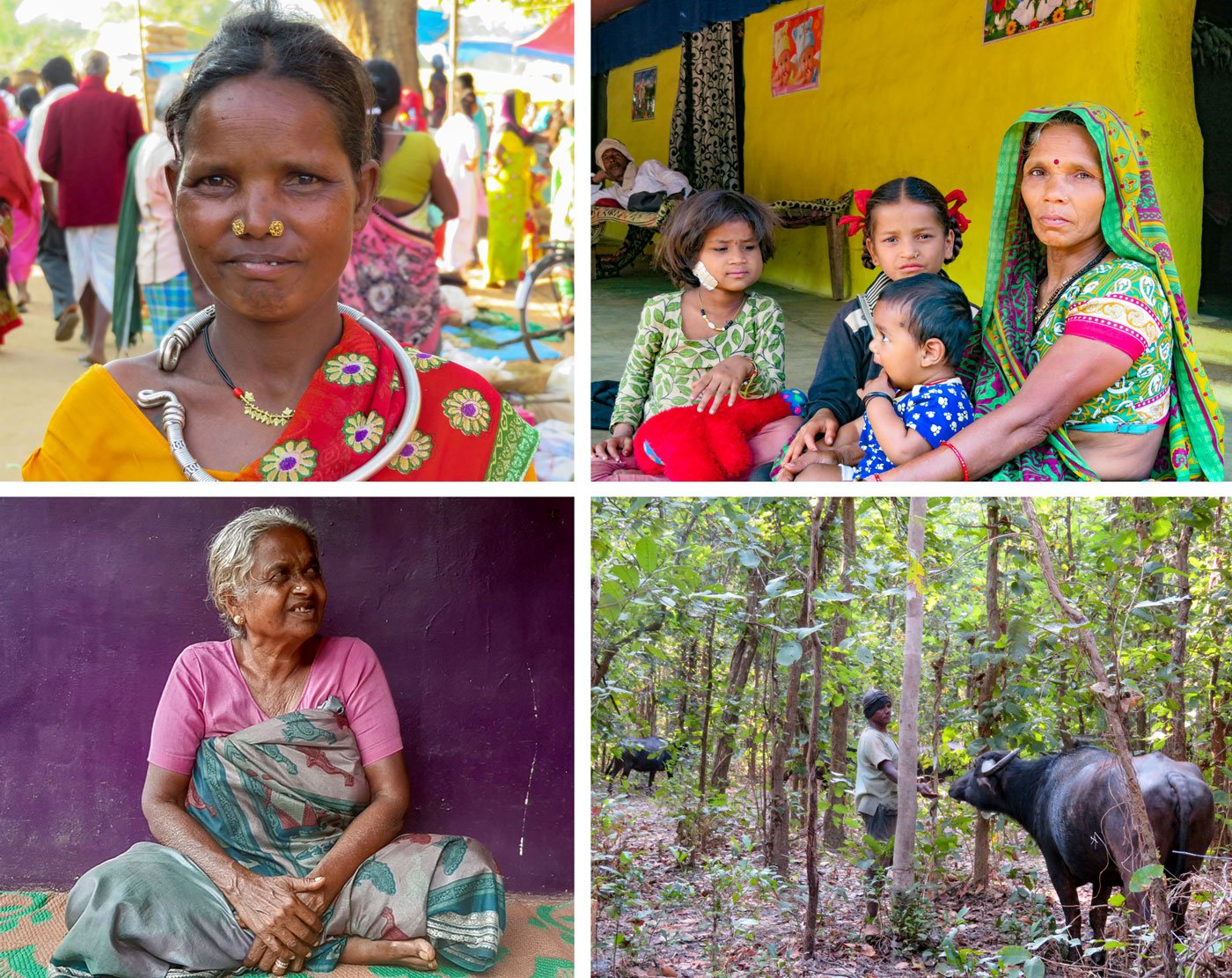 Top left: 'I don’t have any ants to sell today', says Munnibai Kachlan (top left) at the Chhotedongar weekly haat. Top right: 'Last year, these phundi keeda ate up most of my paddy crop', says Parvati Bai of Pagara village. Bottom left: Kanchi Koil in the Niligirs talks about the fireflies of her childhood. Bottom right: Vishal Ram Markham, a buffalo herder in Chhattisgarh, says; 'he land and the jungle now belong to man' 