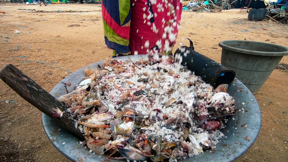 “I don’t pay anything for the kazhar,” says Puli. “I collect it from women cutting fish at the harbour.” Every day, at 4 a.m., she starts collecting the fish waste from vendors and others who remove the scales and entrails as per customers’ needs. While Puli doesn’t pay for the kazhar, she sometimes buys cold drinks for the vendors and cutters. “I help them clean their work area, " she says, "talk with them and exchange news.”