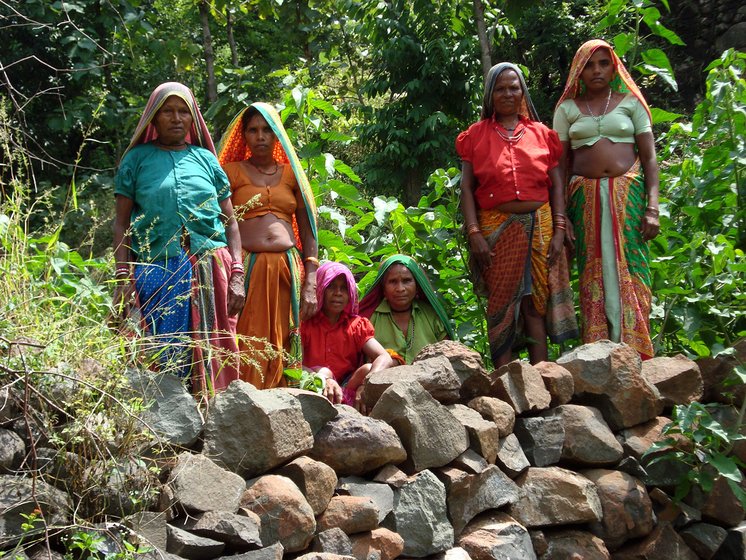 All members of the household contribute to looking after the animals. But due to a lack of fodder in the deforested hills, not much milk is produced. Right: Here the women of Attha village are working together to repair a farm bund made of stones. The Bhils pool labour – they work on each other's farms to save on monetary wages. This custom is called ‘dhas’