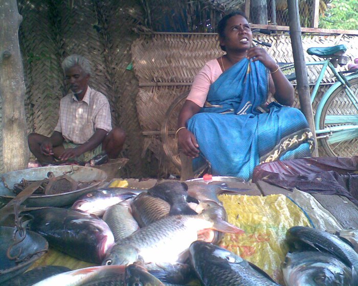 My father and mother selling fish at one of their old vending spots in 2008.