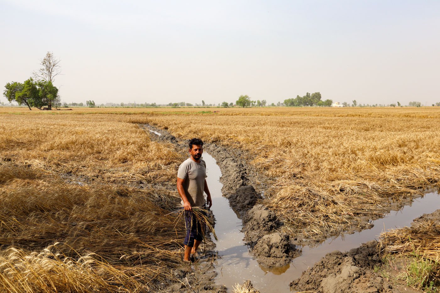 Left: Gurpal Singh, 40, of Buttar Bakhua village pumping out water from his farmland.