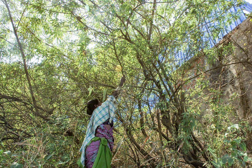 Suman outside her home in Palghar's Umela village.