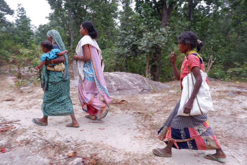 Right:  Work stops in the evening when they spot the cattle heading home after grazing. On the third day, Geeta and Sakuni return to the forest to collect the sacks and make their way to Hehegara station from where they catch a train to Daltonganj