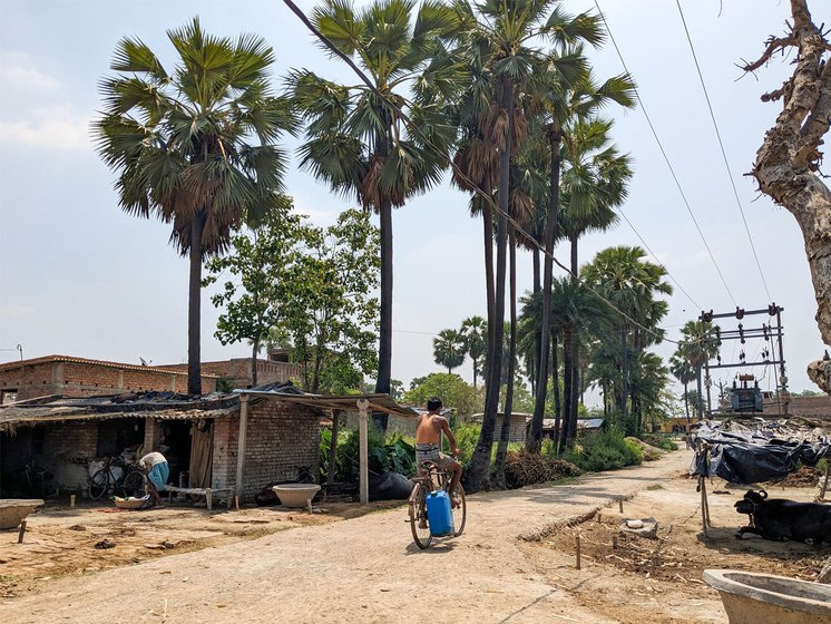 Left: Ajay sharpening the sickle with which he carves incisions. Right: Before his morning shift ends and the afternoon sun is glaring, Ajay will have climbed close to five palm trees