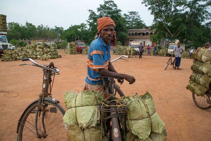 Right: Suben Bhakta from the same village brings the sal leaves to the market