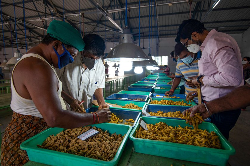 Buyers at the auction inspect the turmeric lots