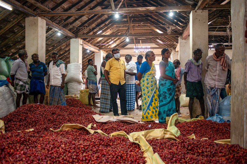 Farmers waiting anxiously to know the price for their lot