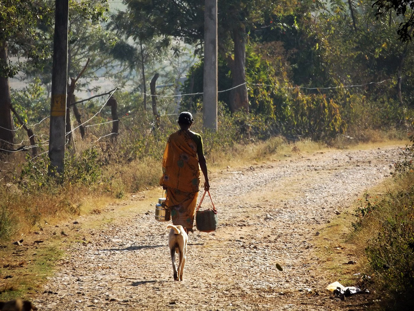 ‘we Have Hills And Forests And We Live Here’