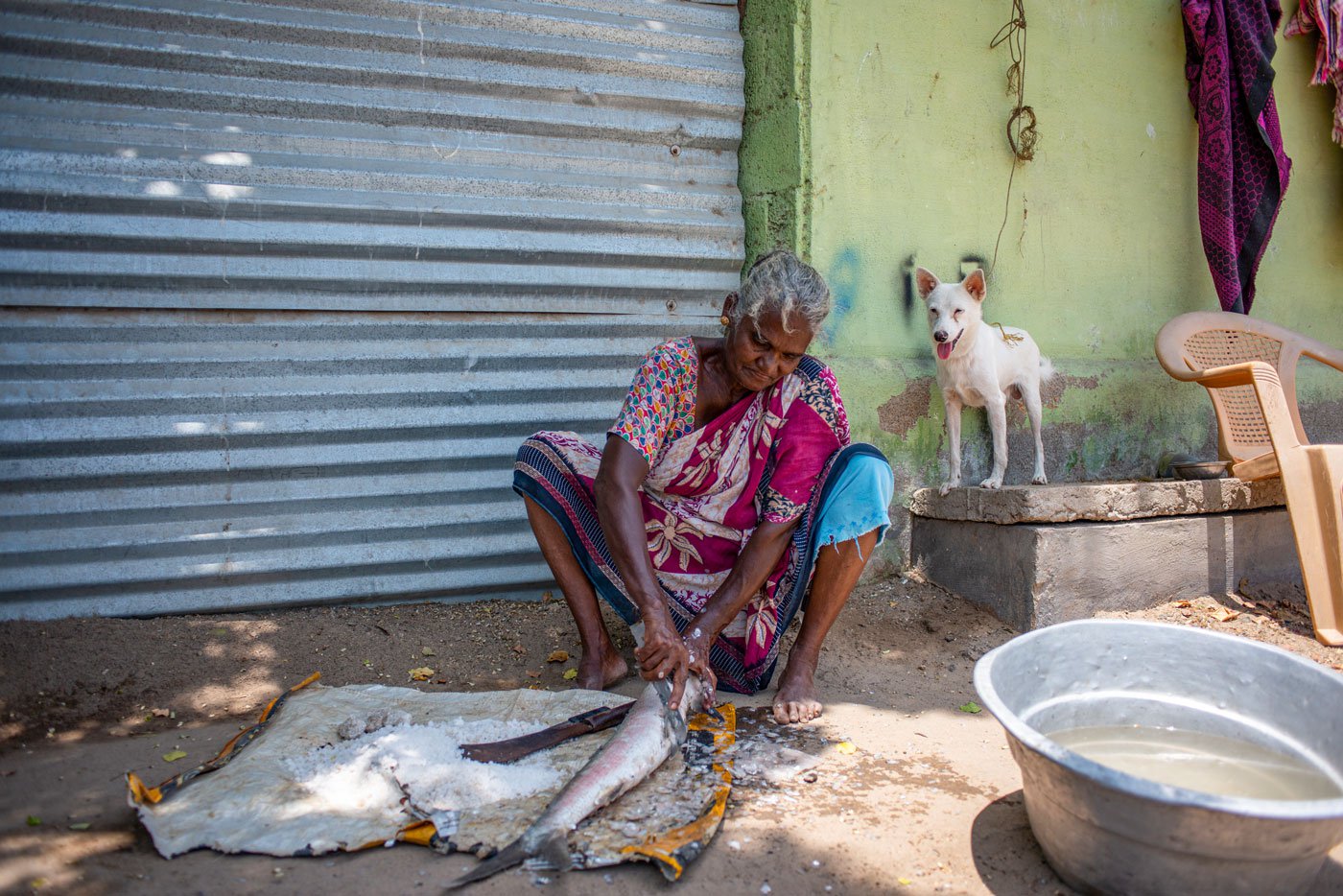 Sahayapurani scrapes off the scales of Poomeen karuvadu as her neighbour's dog watches on