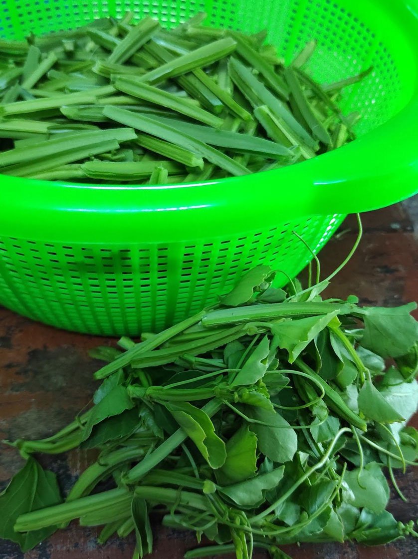 Cleaning and cutting up the shoots for making pirandai pickle