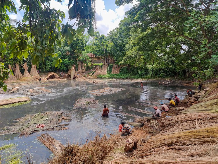 In Murshidabad, shallow pumps (left) are used to extract ground water for jute cultivation. Community tanks (right) are used for retting of jute, leaving it unusable for any household use