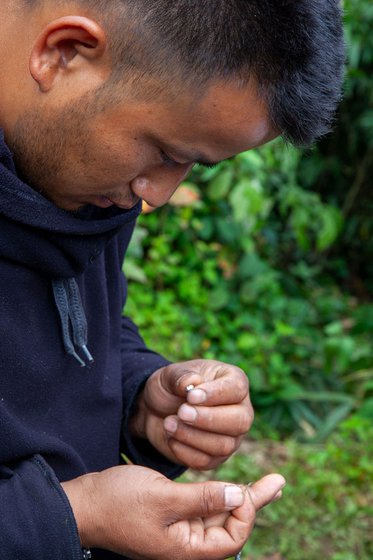 Left: Srinivasan (left) and Kaling Dangen (right) sitting and tagging birds and noting data. Micah holds the green pouches, filled with birds he has collected from the mist netting. Micah inspecting (right) an identification ring for the birds