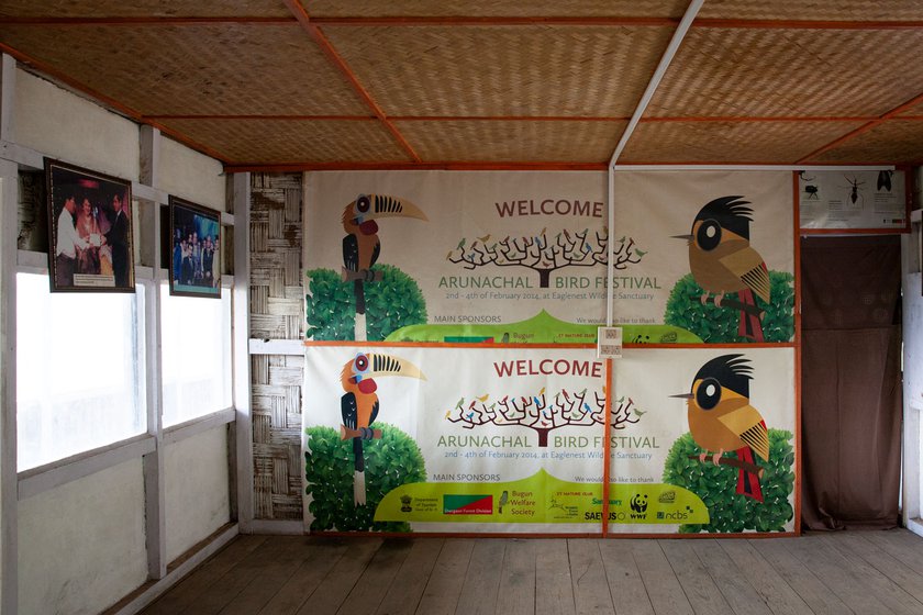The walls of Lama Camp adorned with posters of the famed bird