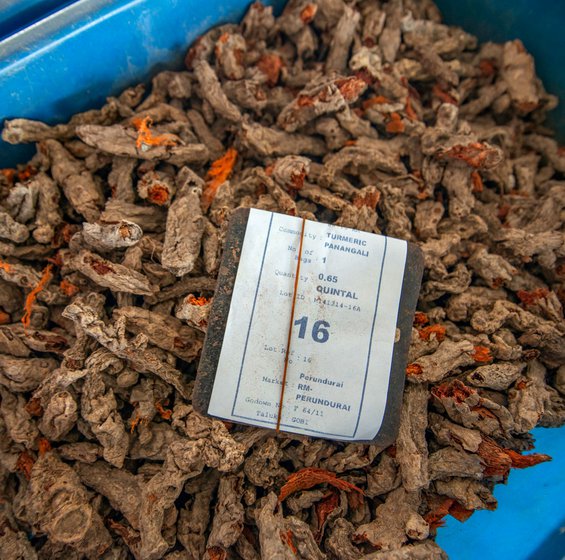 Labels on the samples exhibited at the turmeric auction