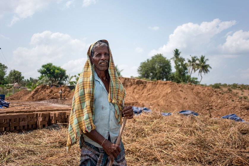 Right: Vadivelan’s neighbour, S. Gopal participates in the sesame harvest