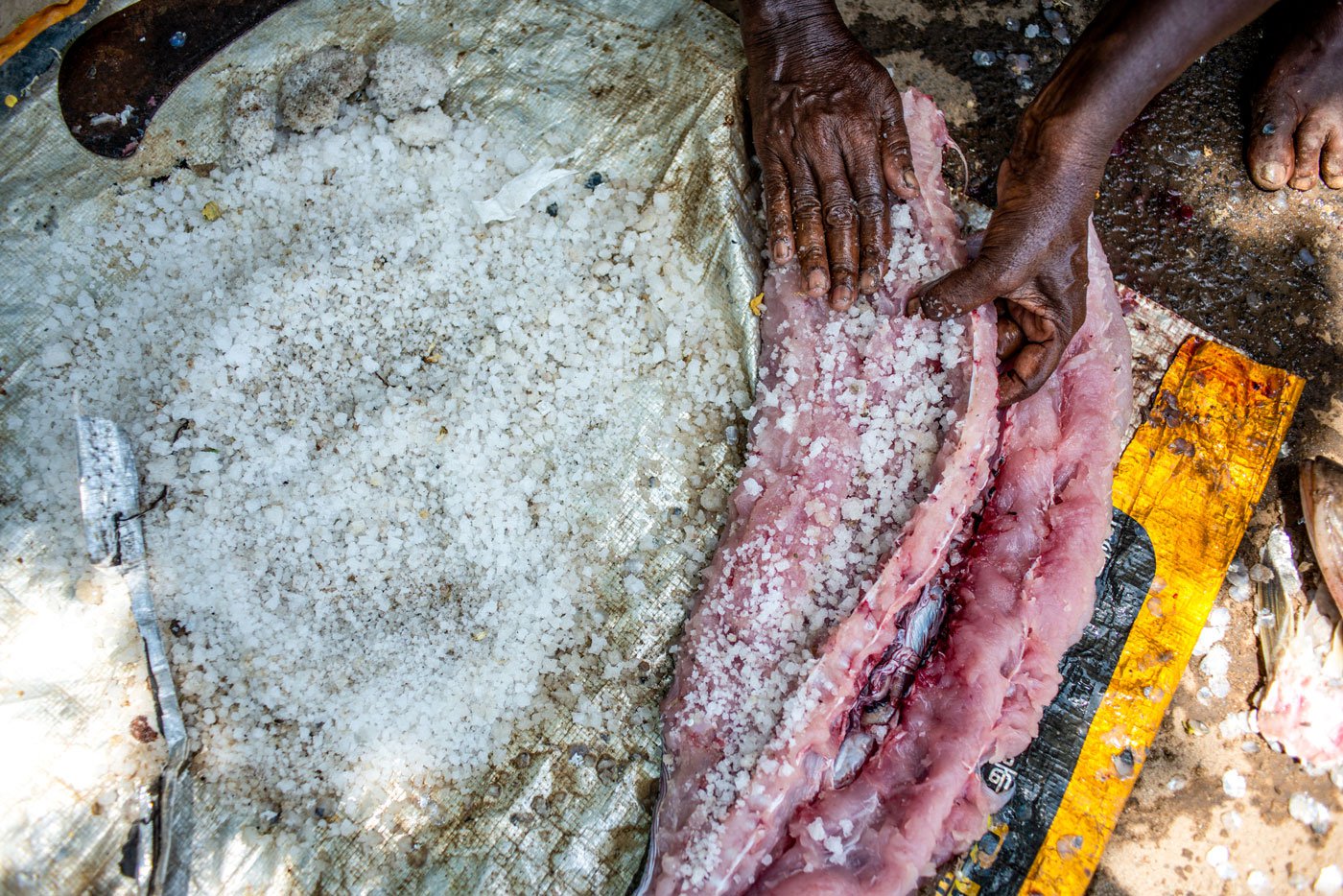Sahayapurani rubs salt into the poomeen 's soft pink flesh