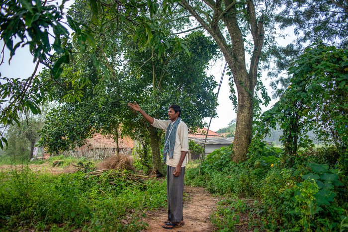 Anandaramu Reddy explaining the elephants’ path from the forest to his farm in Vadra Palayam hamlet