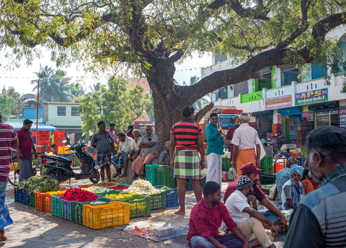 The Thovalai flower market in Kanyakumari district functions under a big neem tree