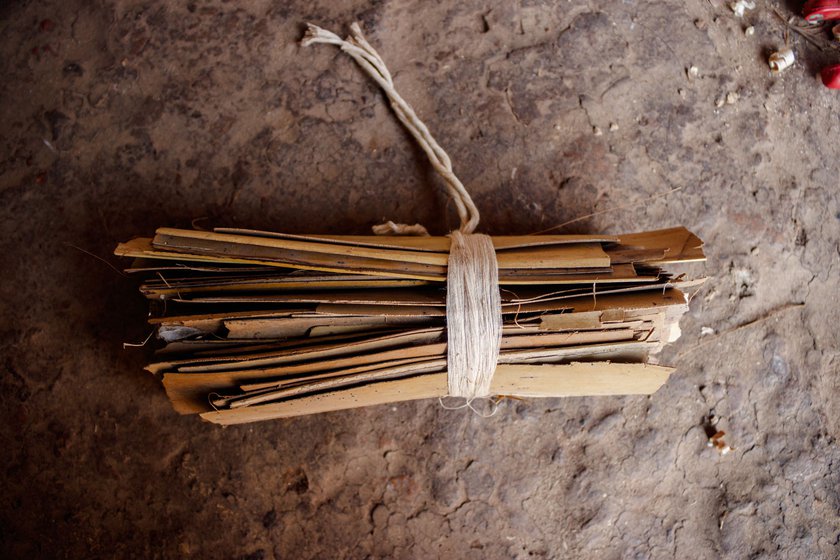 Narayan soaks tadacha paan (perennial cane) so it can easily be shaped into a reed. The reed is one of the most important element of shehnais, giving it its desired sound