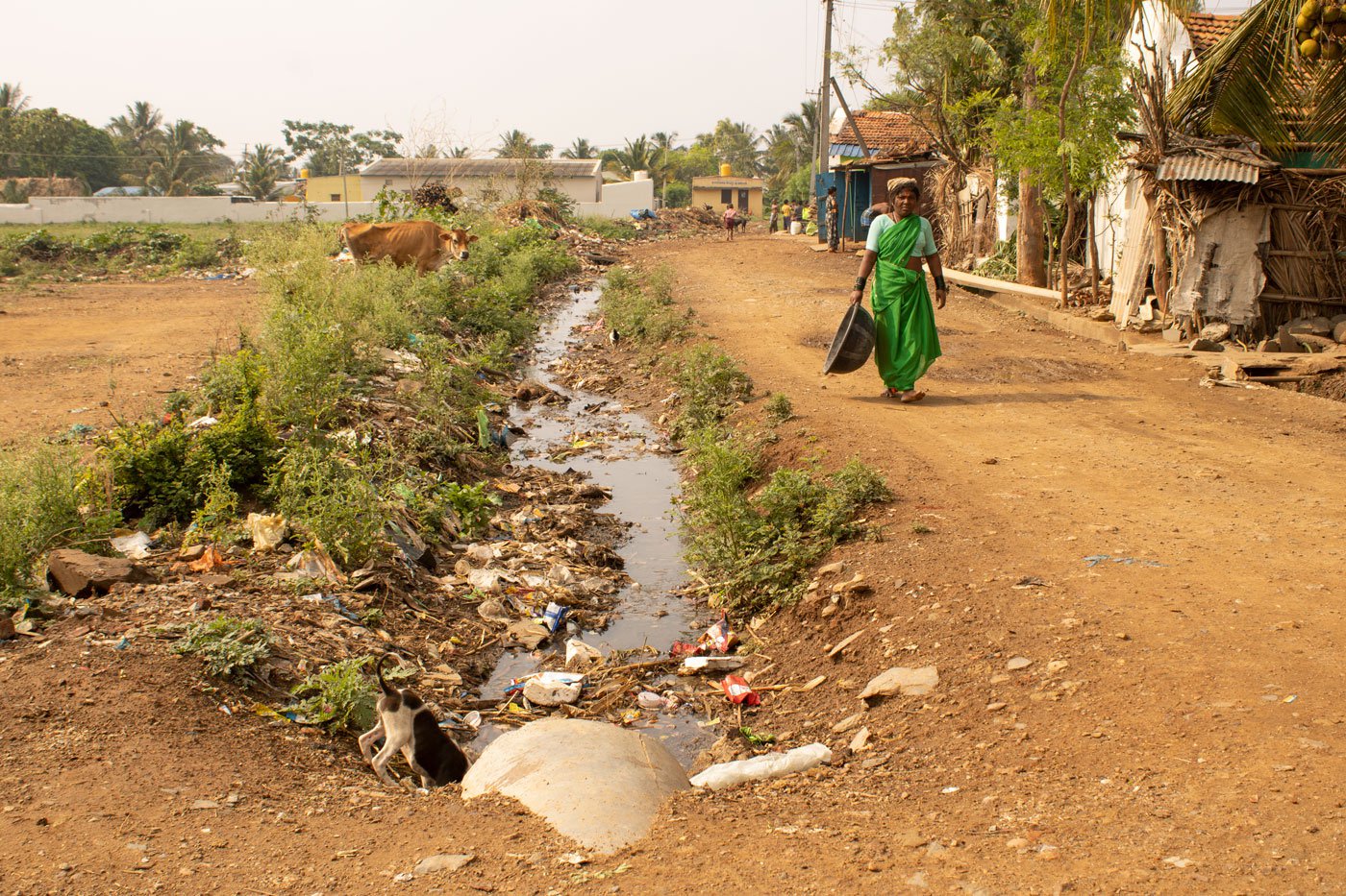 With no space for a toilet in their homes, or a public toilet in their colony, the women go to the open fields around. Most of them work on farms as daily wage labourers and hand pollinators, but there too sanitation facilities aren't available to them