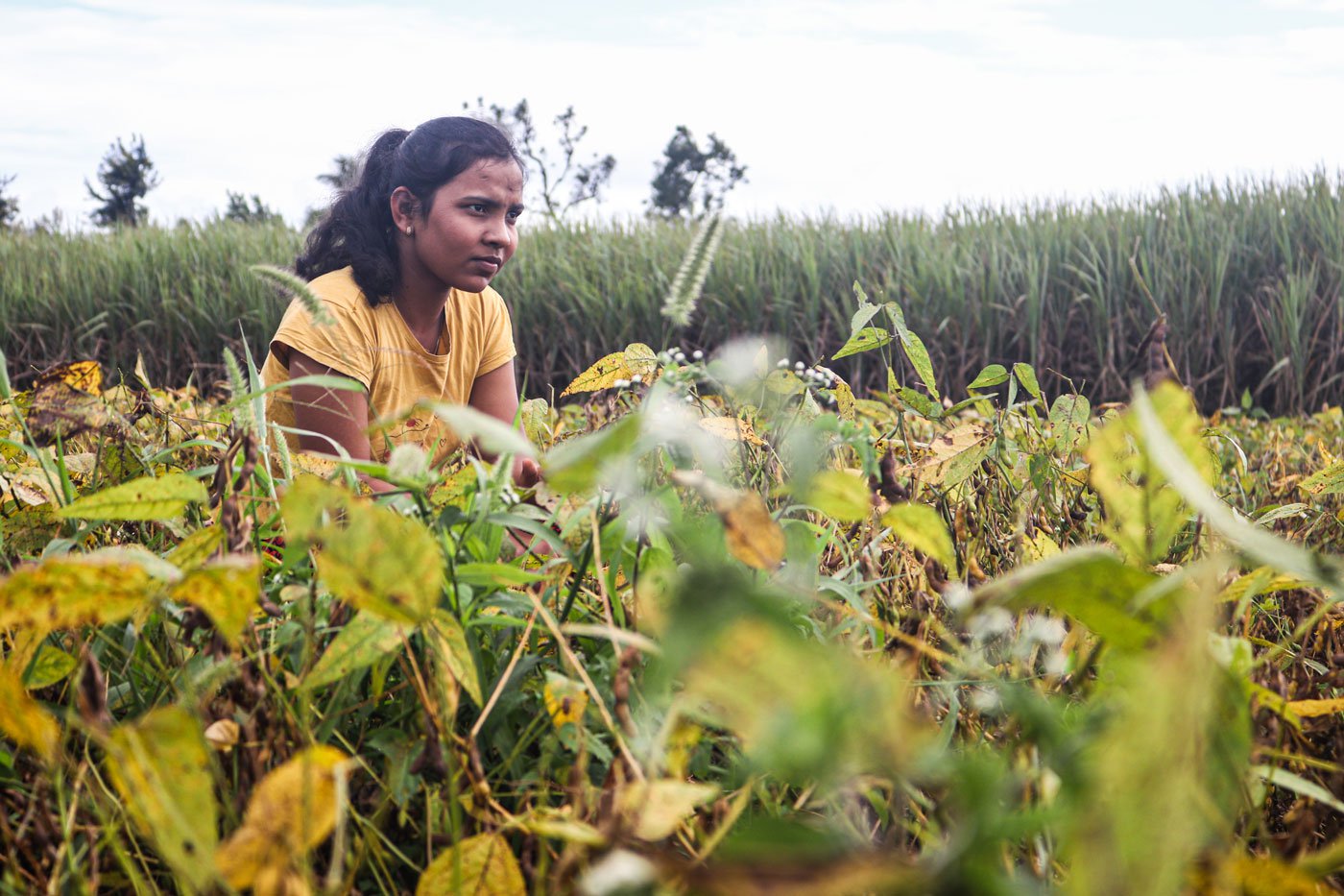 Along with training for Taekwondo and focussing on her academics, Aishwarya spends several hours in the fields to help her family