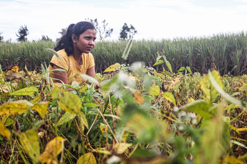 Along with training for Taekwondo and focussing on her academics, Aishwarya spends several hours in the fields to help her family