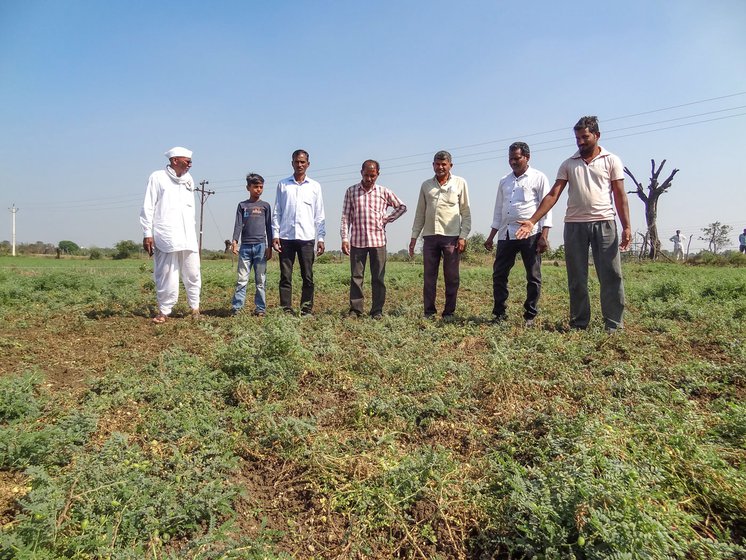 Farmers in Morwa village inspect their fields and discuss widespread losses caused by tigers, black bears, wild boars, deer, nilgai and sambar