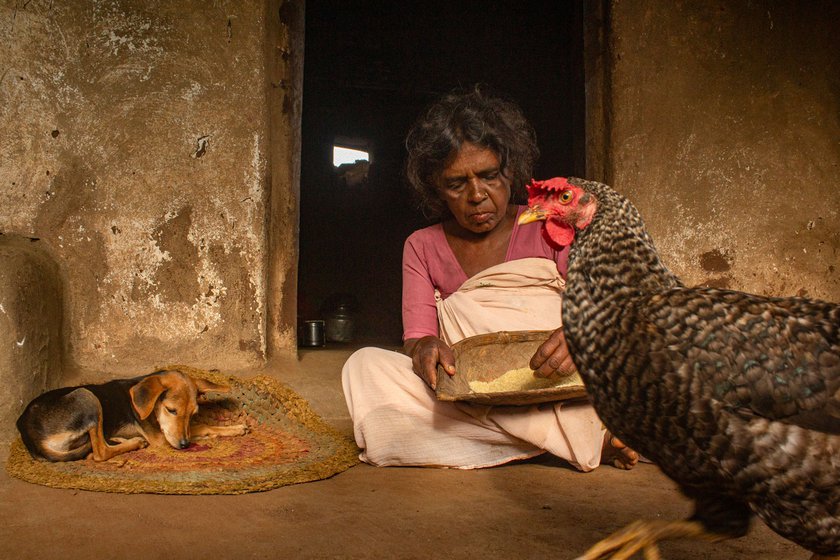 Right: The dogs and chickens are my mother's companions while she works in the house