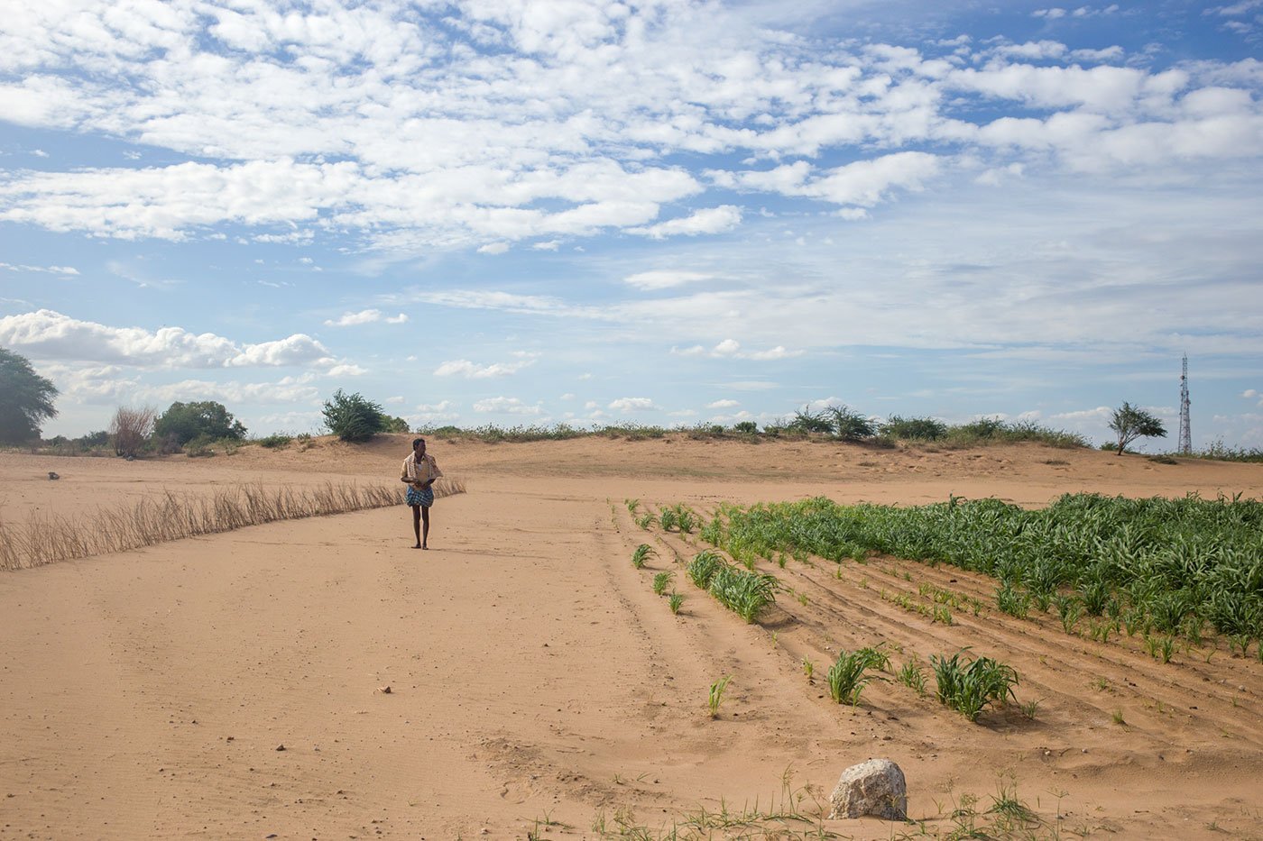 It was always normal that the words climate change were largely absent in public, or political, discourse. Though human agency-led climate change has long devastated Indian agriculture. The new normal: cut the clean air cacophony