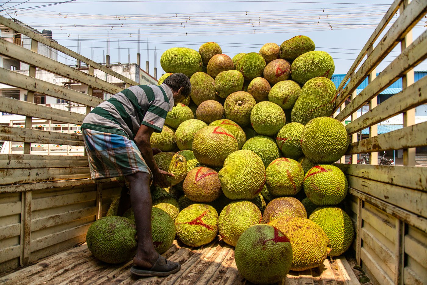 Absence of farmer-friendly supply chains and proper cold storage facilities lead to plenty of wastage