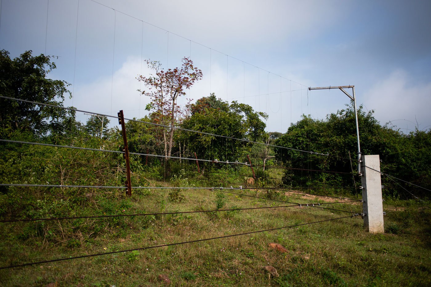 A section of the Melagiri Elephant Fence, which is made of pre-cast, steel-reinforced concrete posts, and steel wire rope strands