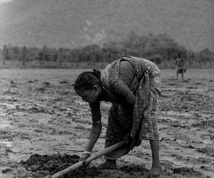 women ploughing the fields