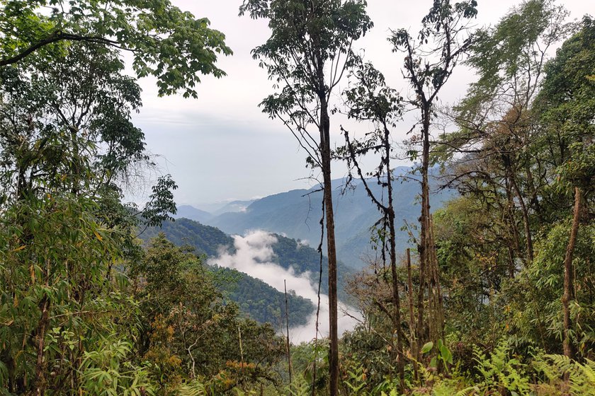 Despite the elevation and remoteness of this part of the eastern Himalayas, cloud forests here in West Kameng are under pressure from habitat degradation, in particular, logging