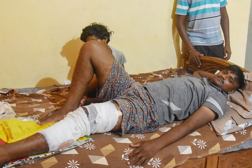 Manoj Nilkanth Khere (left) survived a wild boar attack in early September 2023, but sustained a grievous injury. The 20-year old was working on his father’s fields in Wadgaon village when 'a boar came running from behind and hit me with its tusks.' Farm hands have begun working in a group (right), with someone keeping vigil over the fields to spot lurking wild animals