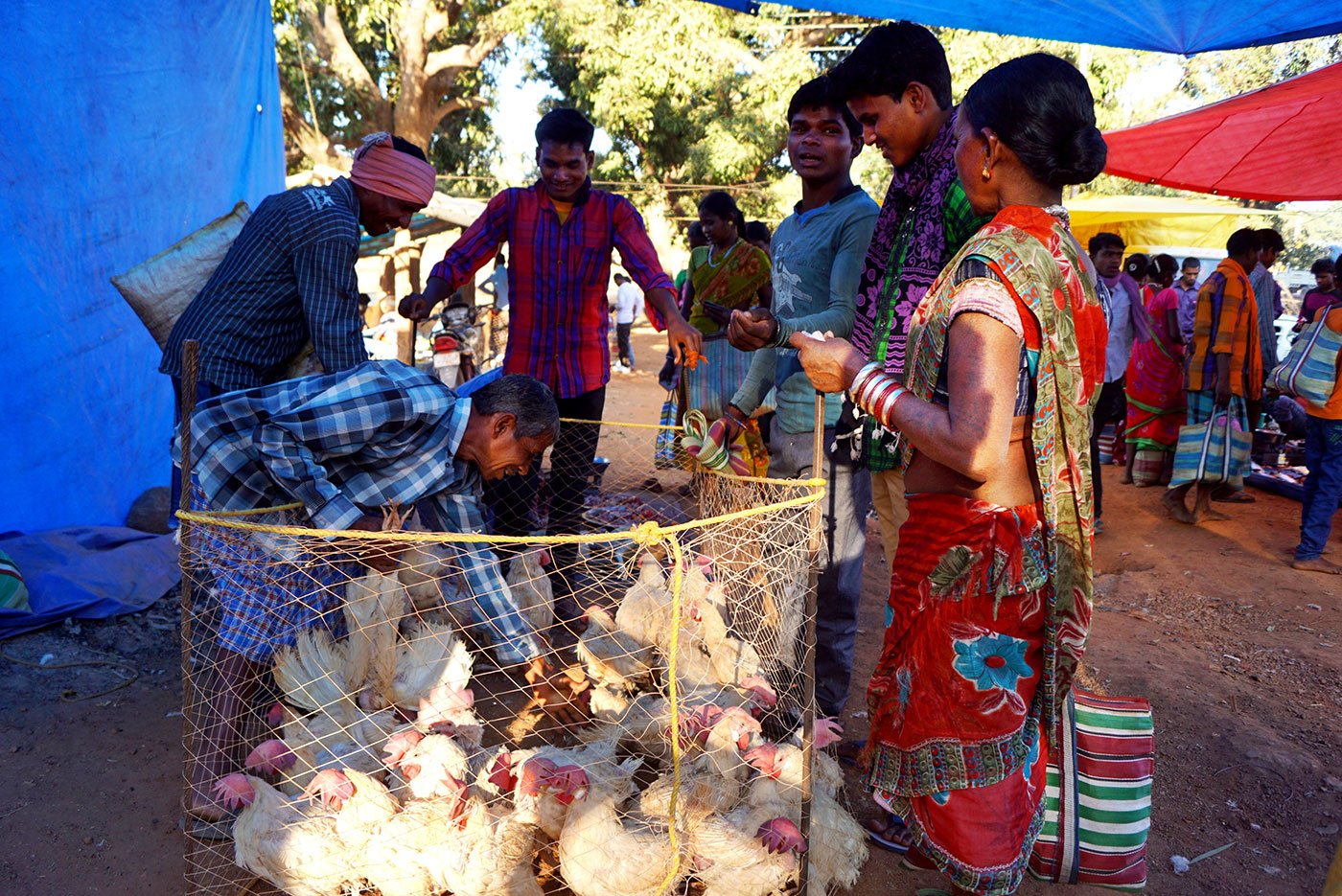 These days, broiler chicken is sold at the haat because it is cheaper than desi (country) chicken