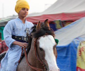 Sikhs from the Nihang sect, riding on their horses, maintained security, along with farmers and volunteers, most of the men.