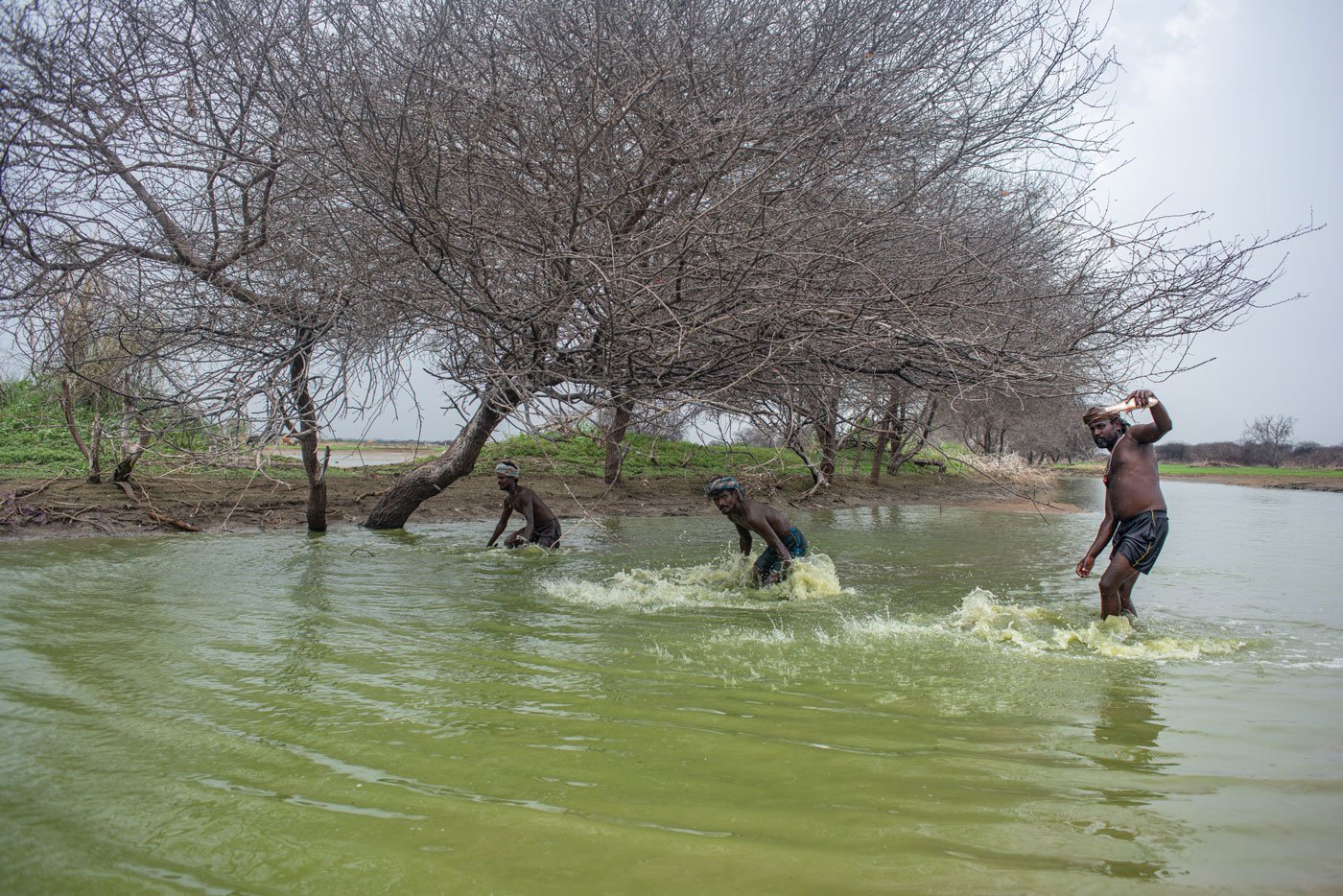 4Reel Fishing:Our backyard lake is wonderful right now! – The Ukiah Daily  Journal