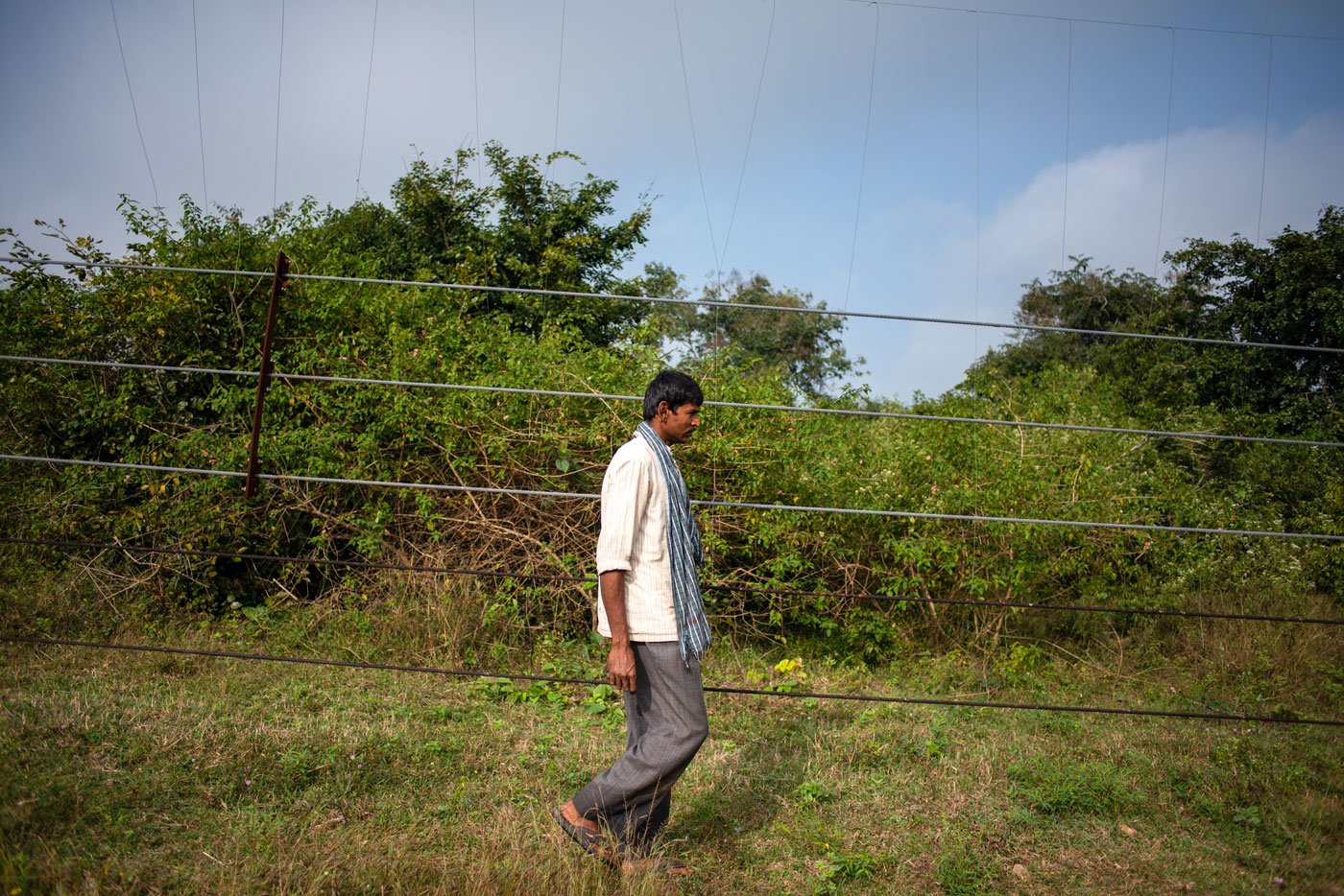 Anandaramu walking along the elephant fence and describing how it works