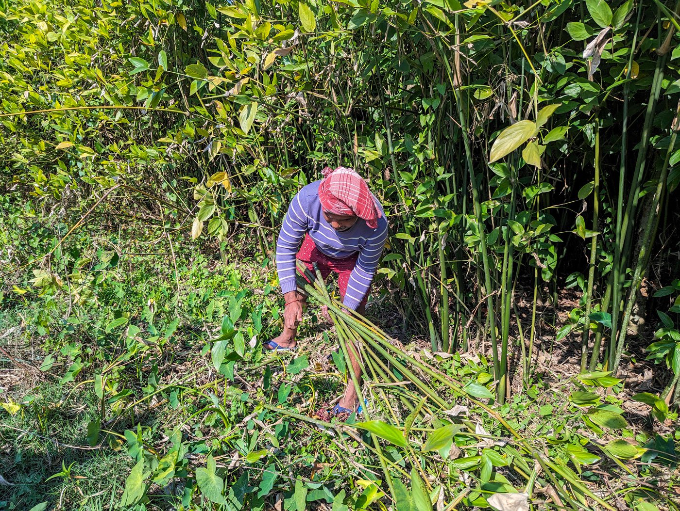 The kamalkosh cane mat tells a story