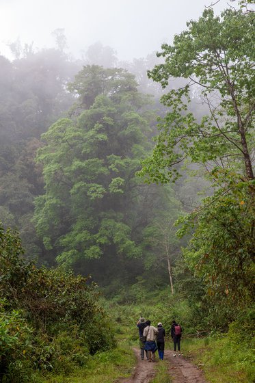 Eaglenest Wildlife Sanctuary covers 218 square kilometres in Arunachal Pradesh’s West Kameng district