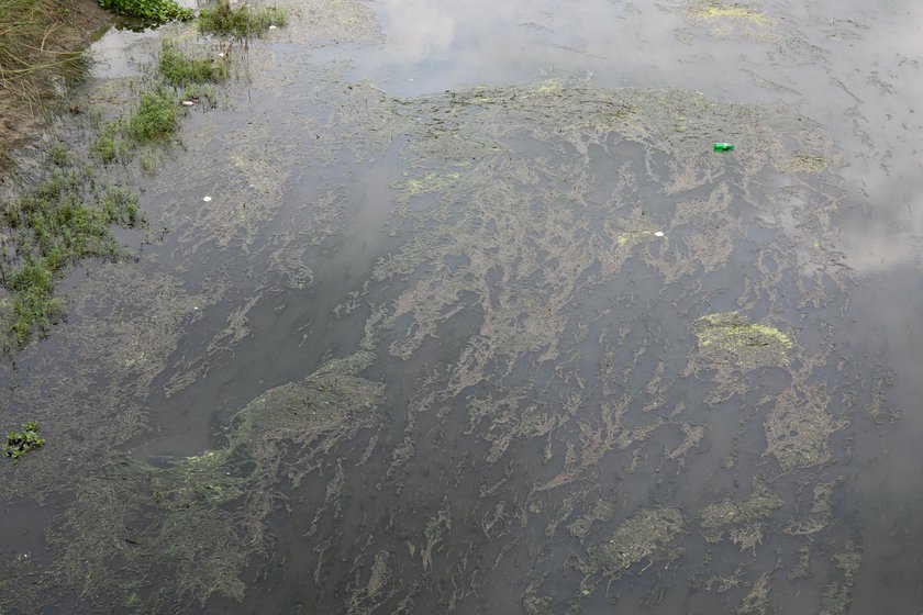 Left: There is algae, water hyacinth and waste on the river.