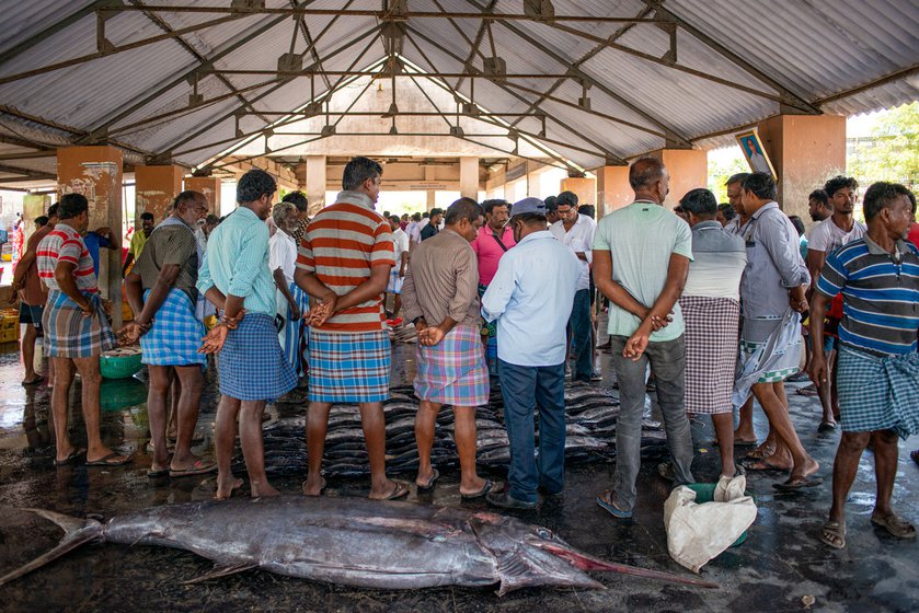 Scenes from Therespuram auction centre on a busy morning. Buyers and sellers crowd around the fish and each lot goes to the highest bidder