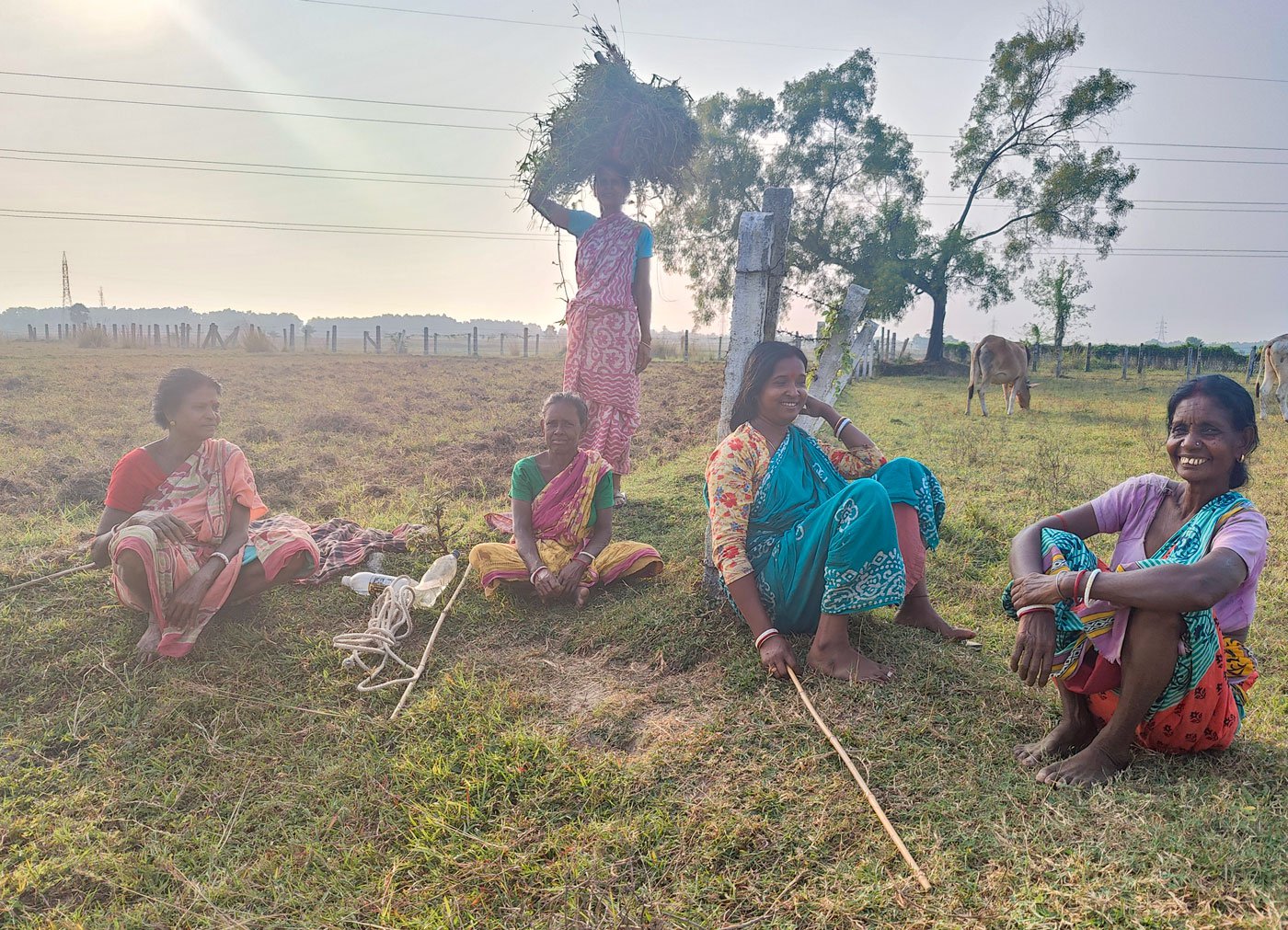Lohar women resting and chatting while grazing cattle in Birbhum district of West Bengal